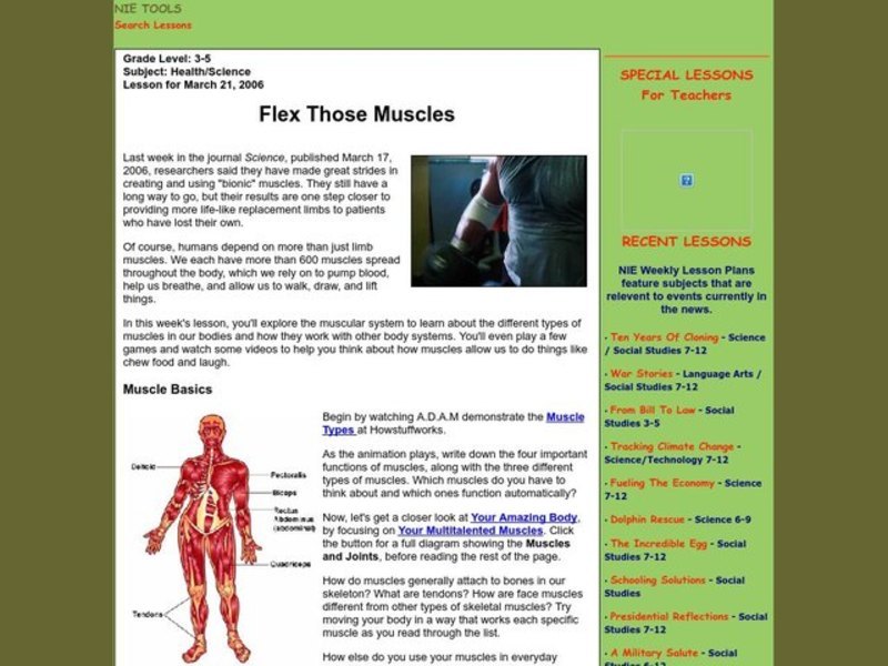 Flex Those Muscles Lesson Plan