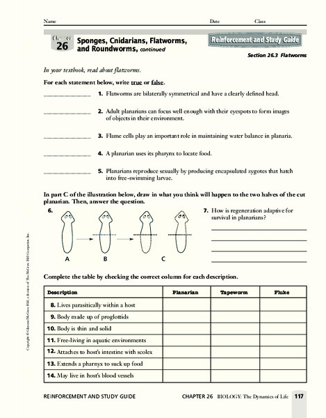 Flatworms Worksheet
