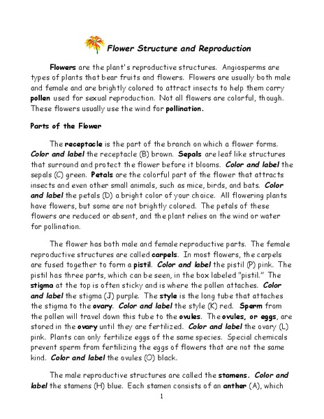 Flower Structure and Reproduction Worksheet
