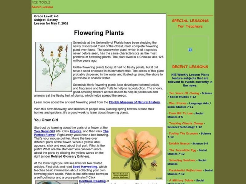 Flowering Plants Lesson Plan