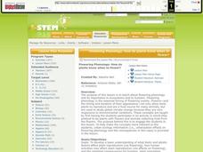 Flowering Phenology: How Do Plants Know When to Flower? Lesson Plan