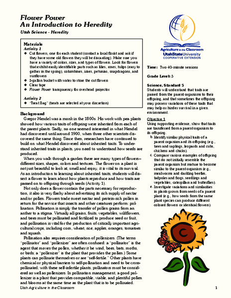Flower Power: An Introduction to Heredity Lesson Plan