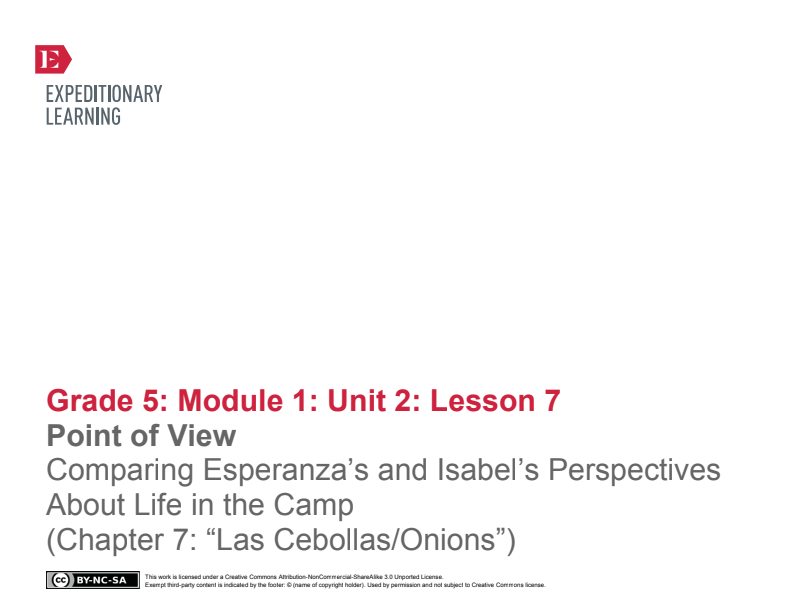 Point of View: Comparing Esperanza's and Isabel's Perspectives About Life in the Camp (Chapter 7: "Las Cebollas/Onions") Lesson Plan