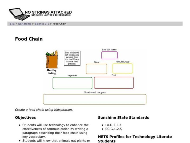 Food Chain Lesson Plan