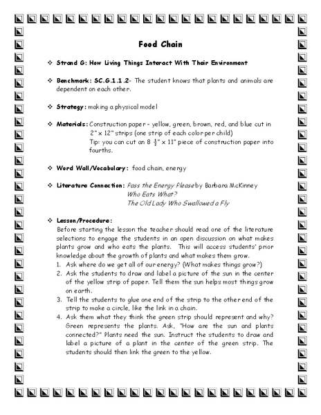 Food Chain Lesson Plan