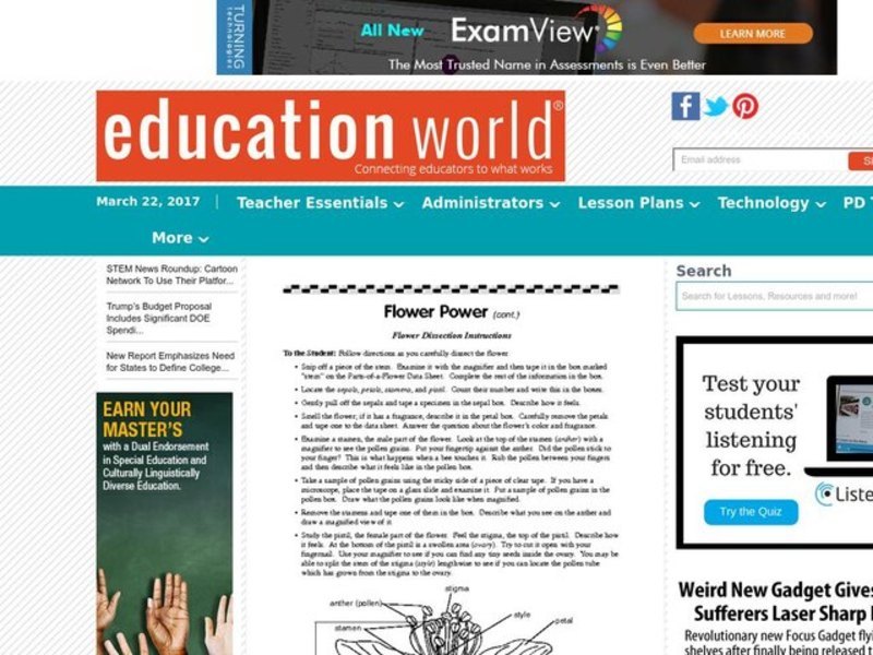 Flower Power Lesson Plan