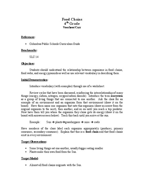 Food Chains Lesson Plan