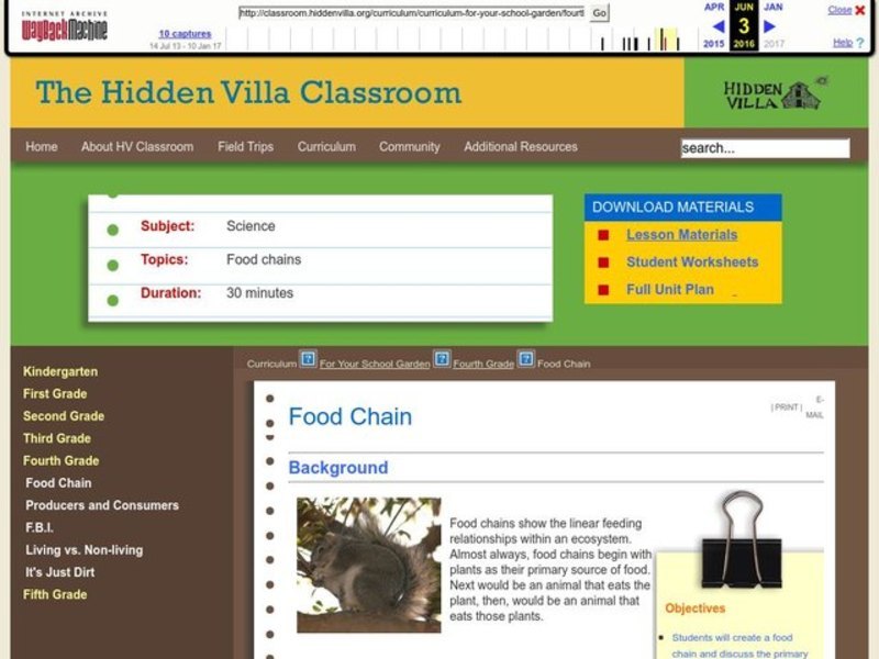 Food Chain Lesson Plan