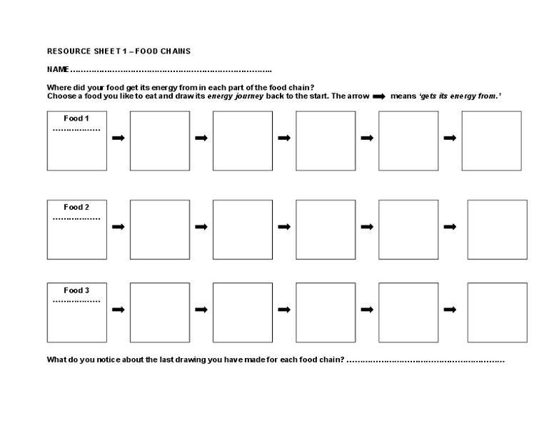 Food Chains Worksheet