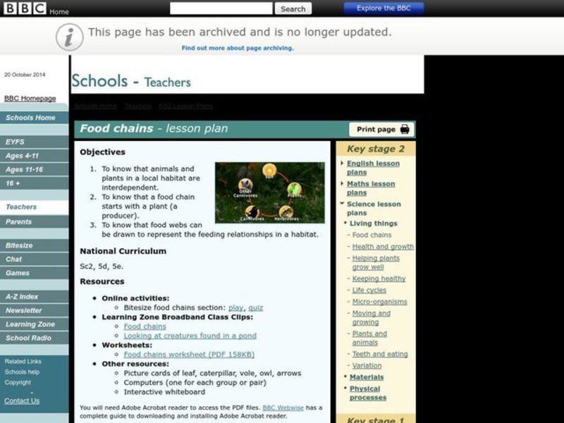 Food Chains Lesson Plan