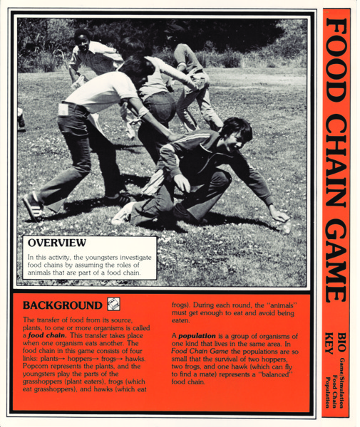 Food Chain Game Lesson Plan