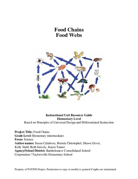 Food Chains and Food Webs Lesson Plan