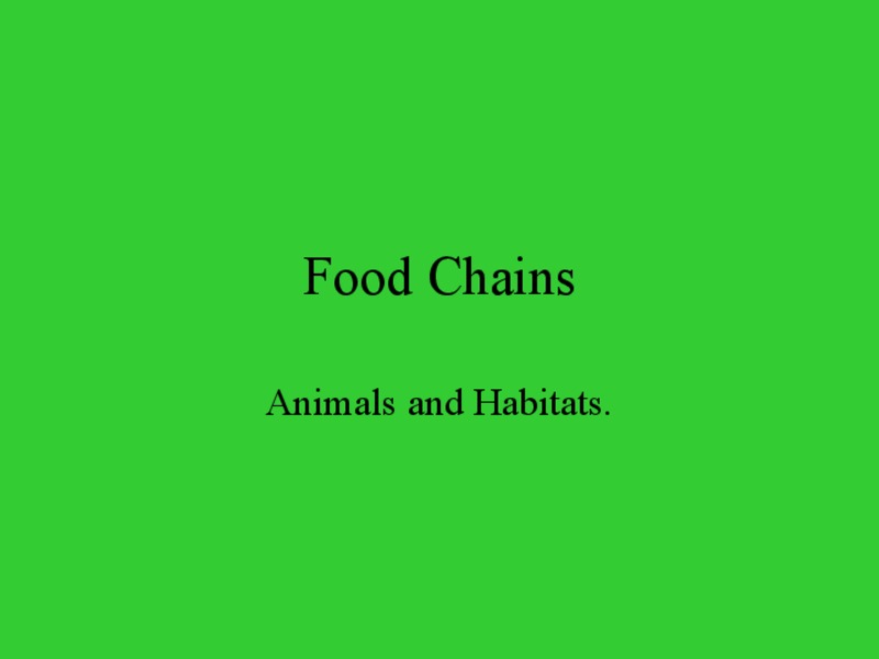 Food Chains PPT