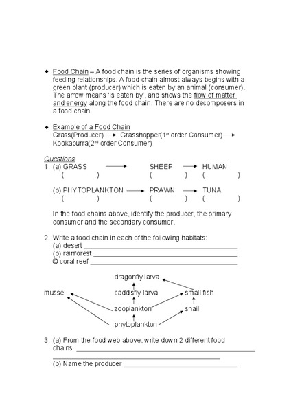 Food Chains and Webs Lesson Plan