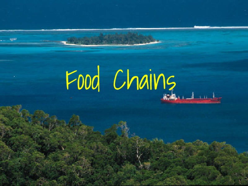 Food Chains PPT