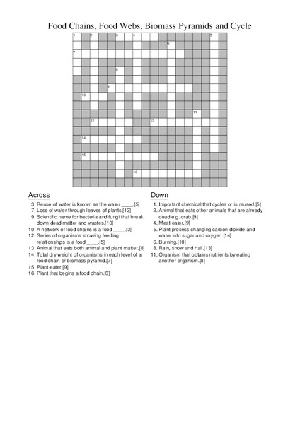 Food Chains, Food Webs, Biomass Pyramids and Cycle Lesson Plan