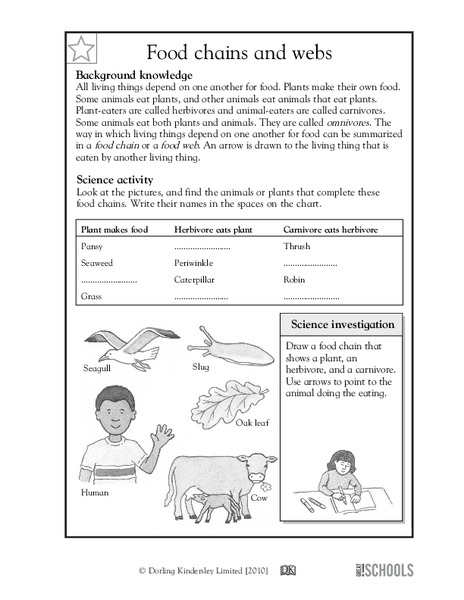 Food chains and webs Worksheet
