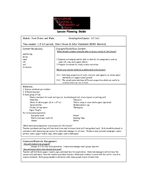 Food Chains And Webs Lesson Plan