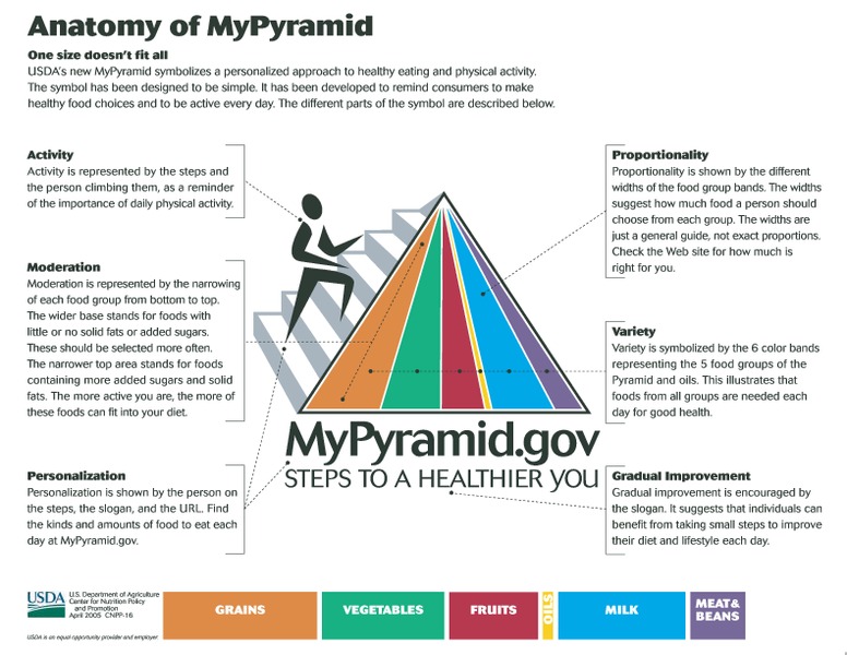 Food Foldable Lesson Plan