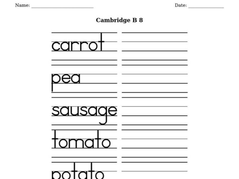 Food words Worksheet