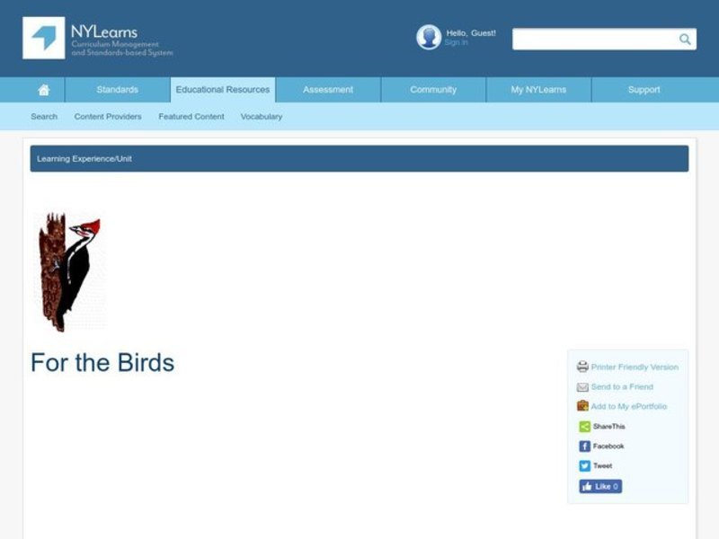 For the Birds Lesson Plan