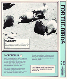 For the Birds Lesson Plan
