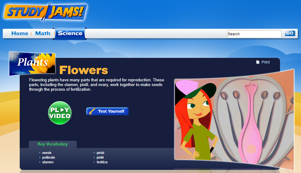 Study Jams! Flowers Interactive
