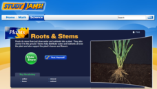 Study Jams! Roots and Stems Interactive