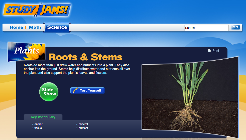 Study Jams! Roots and Stems Interactive