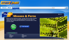 Study Jams! Mosses and Ferns Interactive