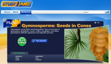 Study Jams! Gymnosperms: Seeds in Cones Interactive