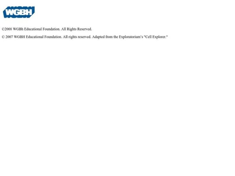 If You Give...Series Teaching Guide Activity