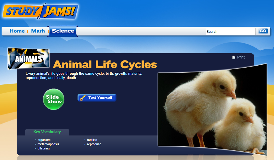 Study Jams! Animal Life Cycles Interactive