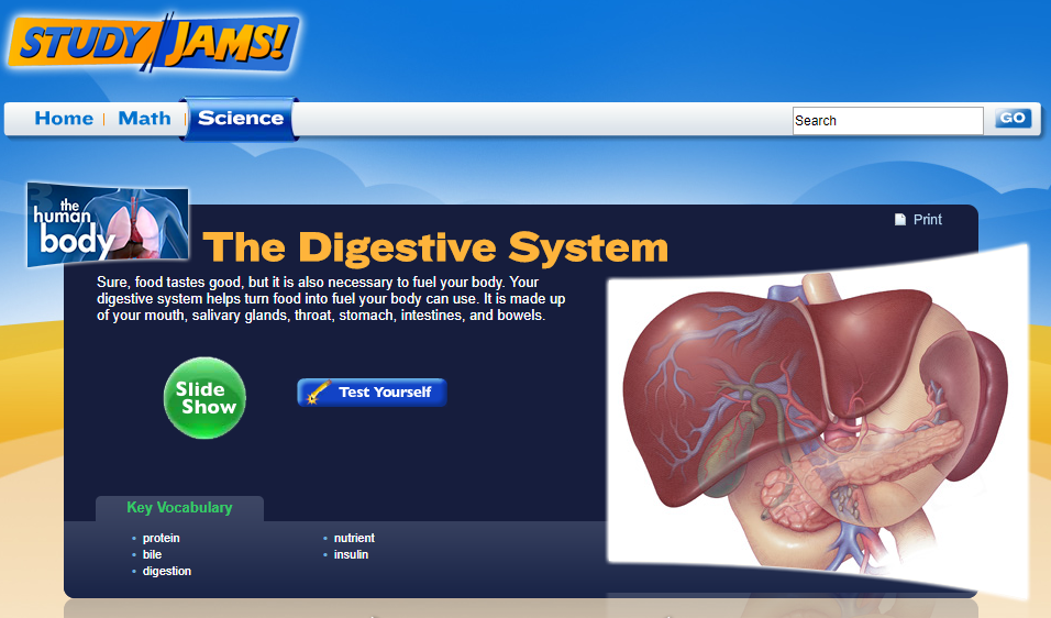 Study Jams! The Digestive System Interactive