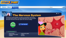 Study Jams! The Nervous System Interactive