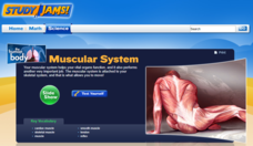 Study Jams! Muscular System Interactive
