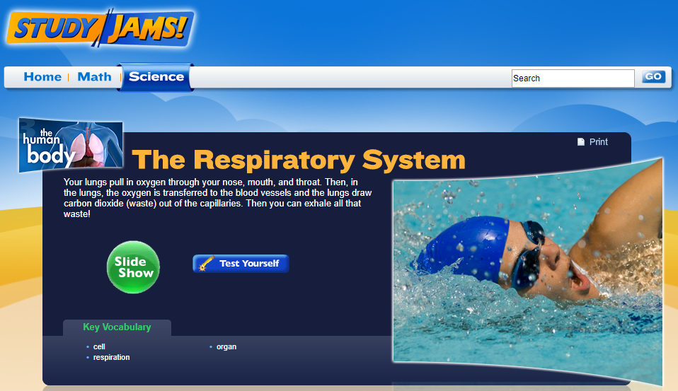 Study Jams! The Respiratory System Interactive