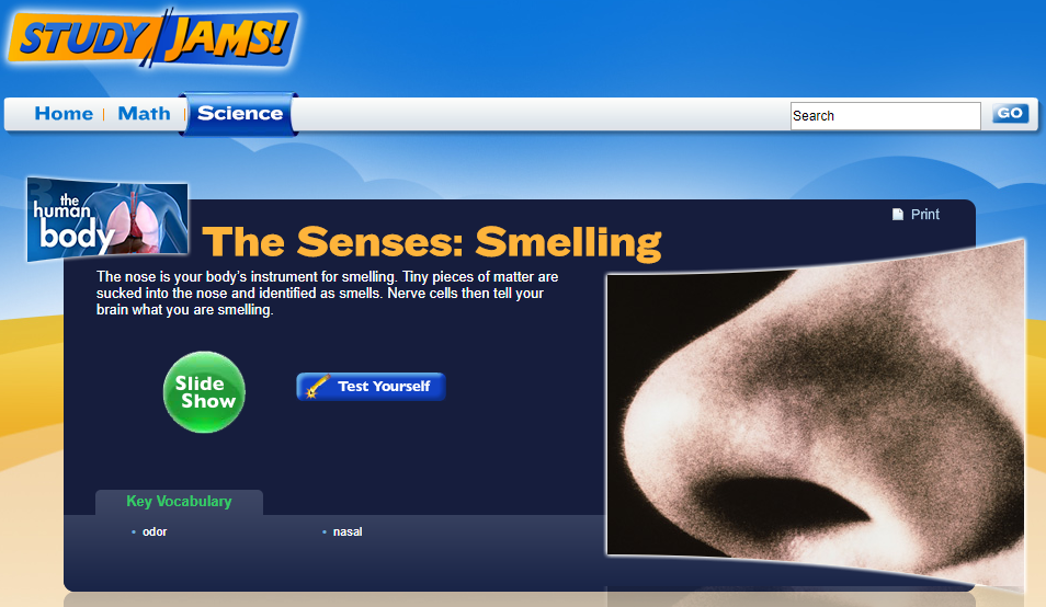 Study Jams! The Senses: Smelling Interactive