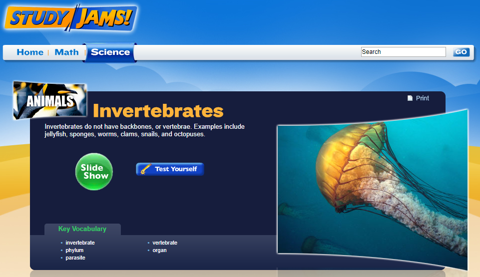 Study Jams! Invertebrates Interactive