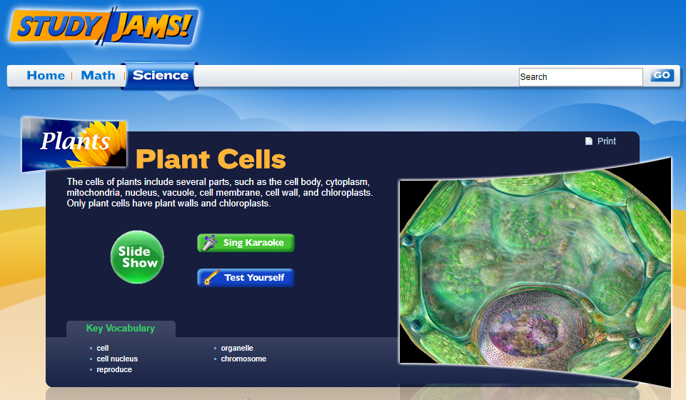 Study Jams! Plant Cells Interactive