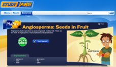 Study Jams! Angiosperms: Seeds in Fruit Interactive
