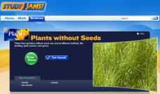 Study Jams! Plants without Seeds Interactive