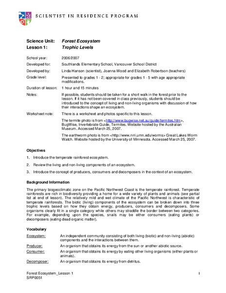 Forest Ecosystem Lesson Plan