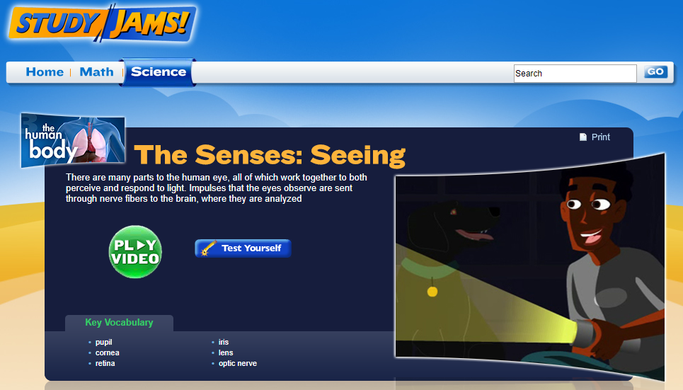 Study Jams! The Senses: Seeing Interactive