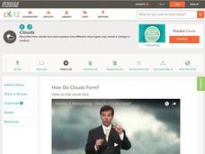 Parasite Tales: The Jewel Wasp's Zombie Slave Instructional Video