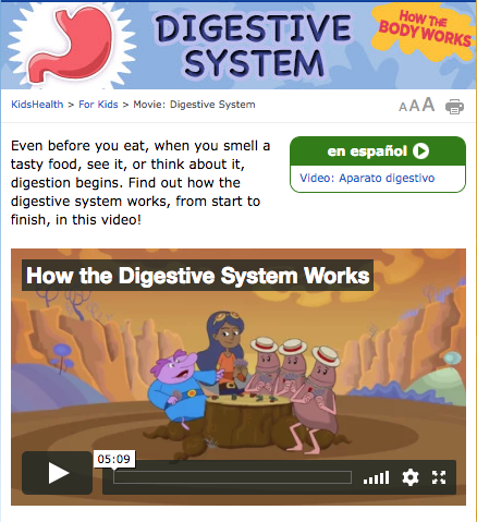 How the Body Works: The Digestive System Instructional Video