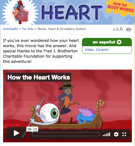 How the Body Works: The Heart Instructional Video