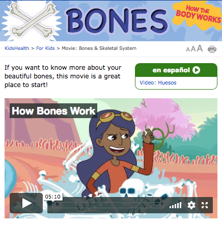 How the Body Works: Bones Instructional Video