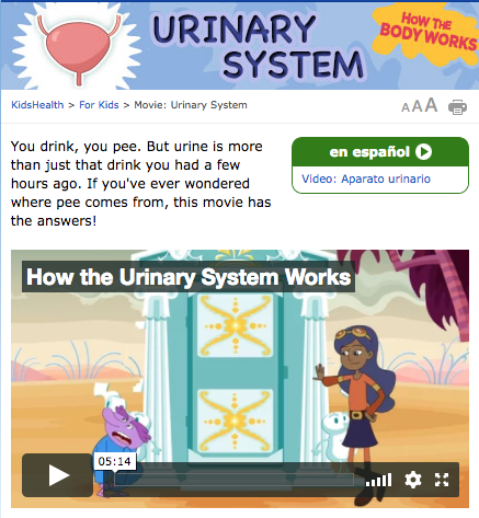 How the Body Works - The Urinary System Instructional Video