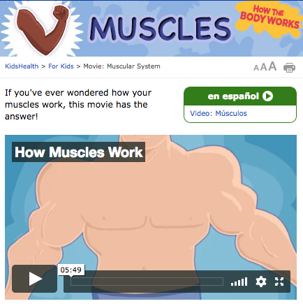 How the Body Works: Muscles Instructional Video